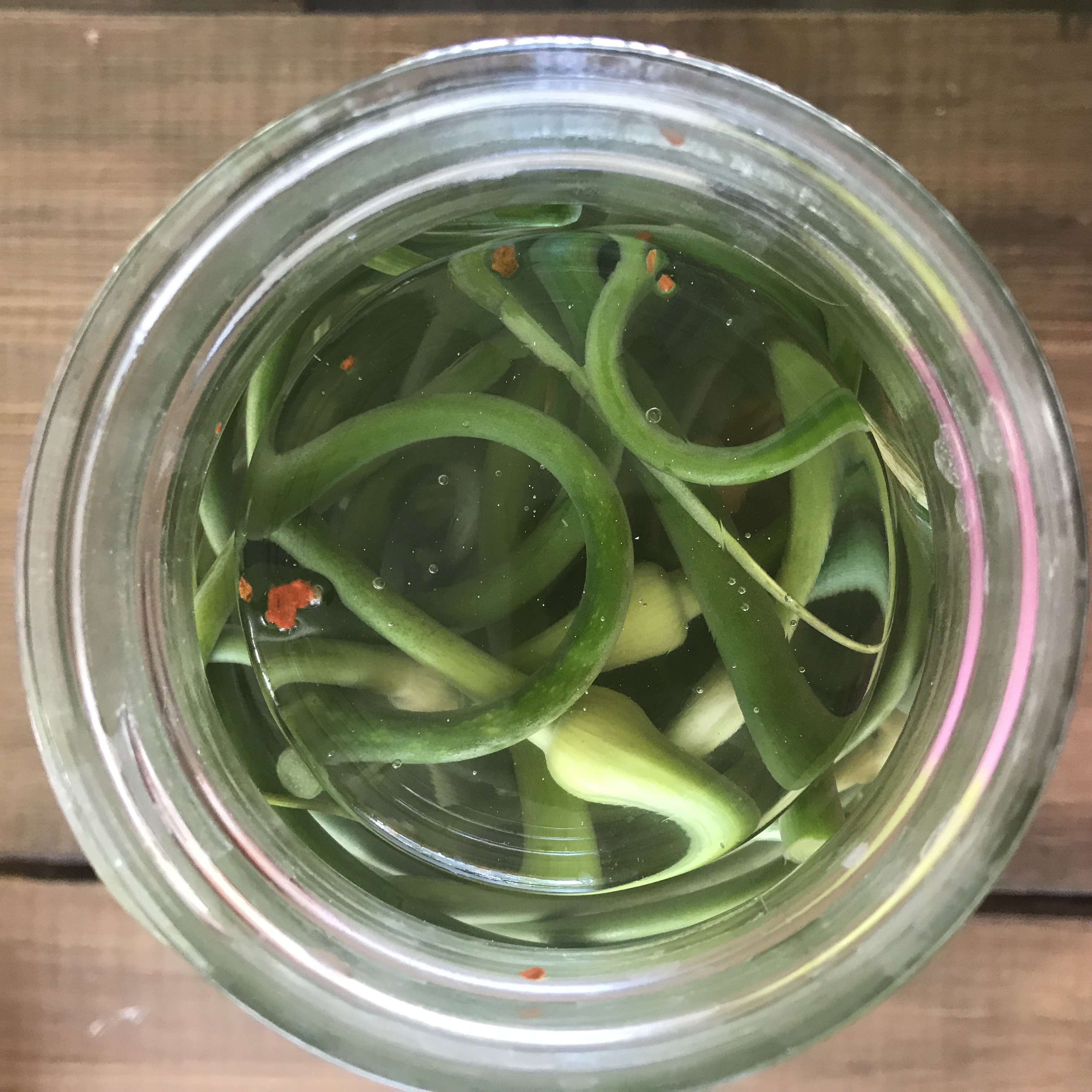 Lacto fermented Garlic Scapes
