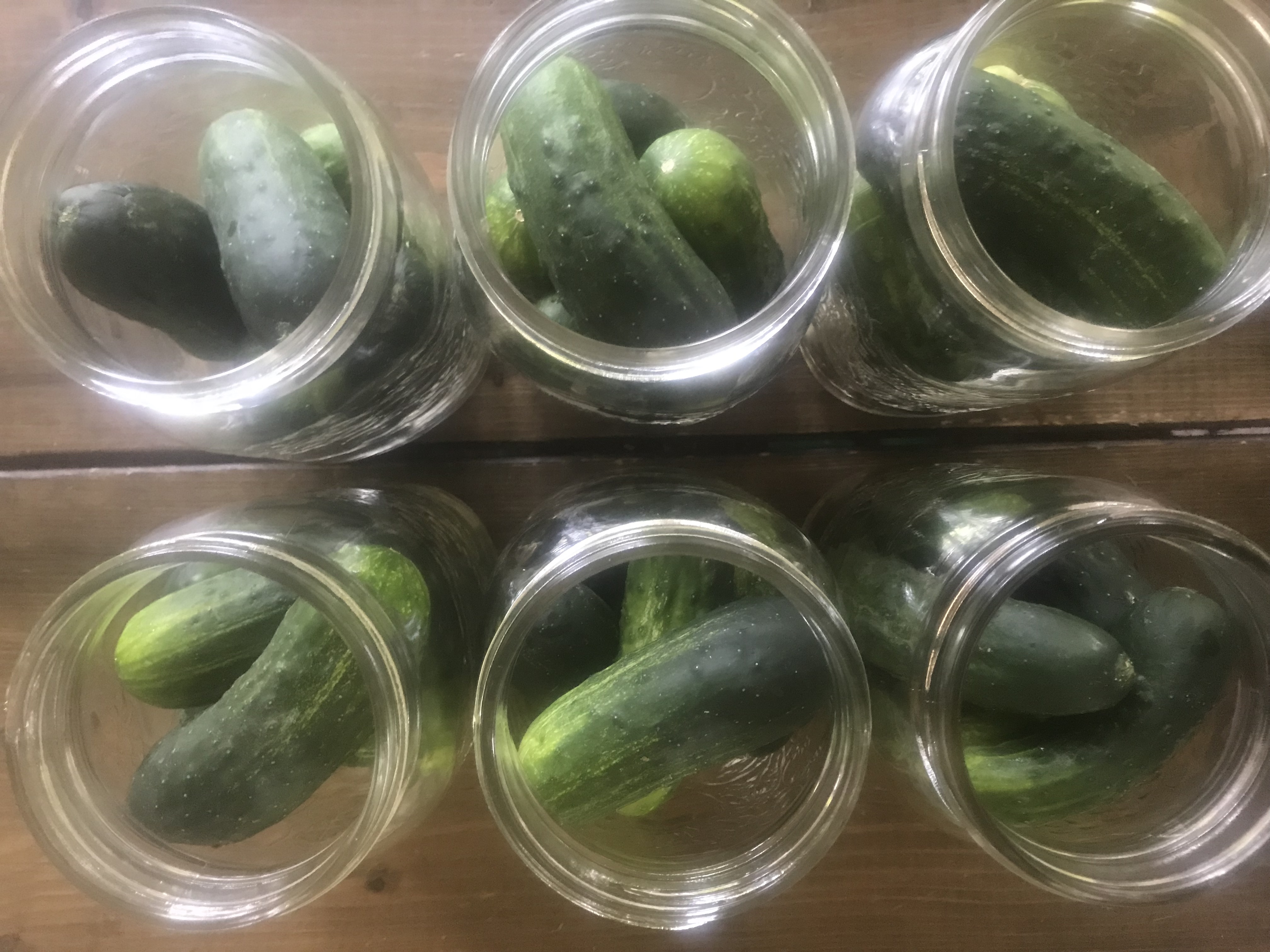 Lacto-fermented Dill Pickles